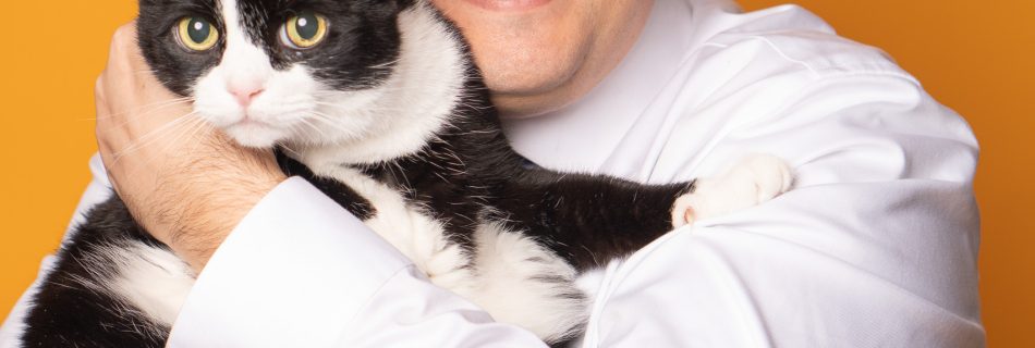 Portrait of Derek, a young professional in his 30s, smiling at the camera while holding his cat, Ms. Mittens, against a solid yellow backdrop in a studio setting.